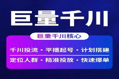 SEM代理操作技巧：成功案例揭秘